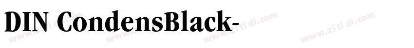 DIN CondensBlack字体转换